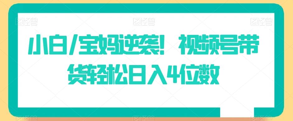 小白/宝妈逆袭！视频号带货轻松日入4位数【揭秘】-金腾科技