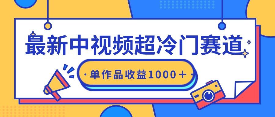(9275期)最新中视频超冷门赛道，轻松过原创，单条视频收益1000＋-金腾科技