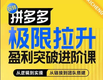 拼多多极限拉升盈利突破进阶课，​从算法到玩法，从玩法到团队搭建，体系化系统性帮助商家实现利润提升-金腾科技