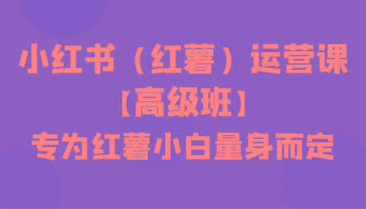 小红书(红薯)运营课【高级班】，专为红薯小白量身而定(42节课)-金腾科技