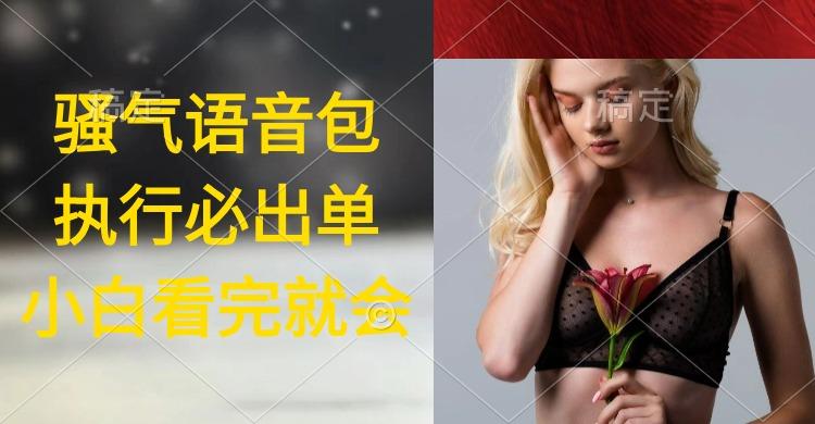 (9589期)执行就出单，日入2000+，超火骚气语音包，小白看完课程就能马上实操-金腾科技