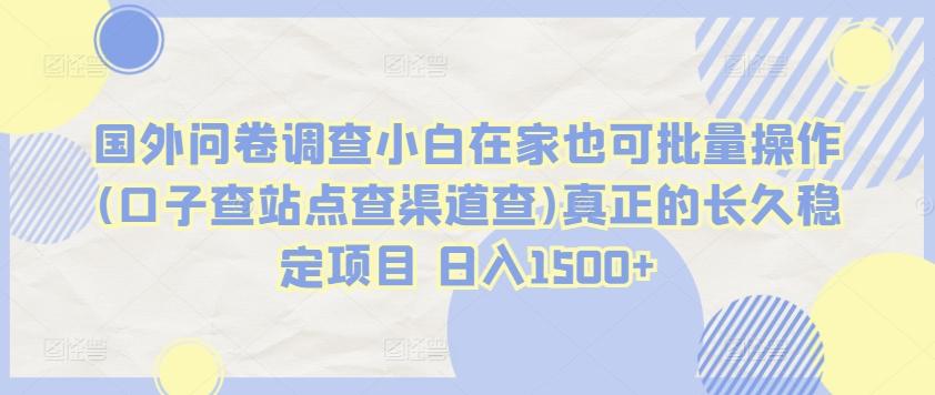国外问卷调查小白在家也可批量操作(口子查站点查渠道查)真正的长久稳定项目 日入1500+【揭秘】-金腾科技