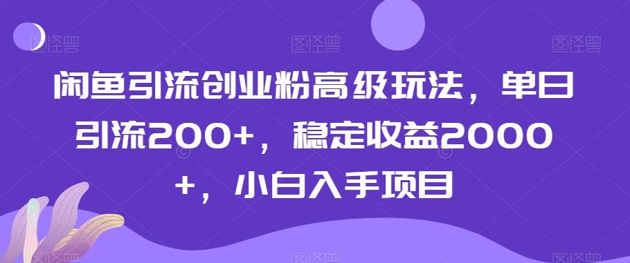 闲鱼引流创业粉高级玩法，单日引流200+，稳定收益2000+，小白入手项目-金腾科技