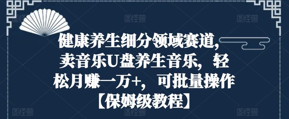 健康养生细分领域赛道，卖音乐U盘养生音乐，轻松月赚一万+，可批量操作【保姆级教程】-金腾科技