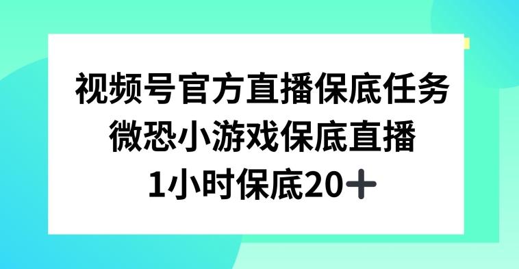 视频号直播任务，微恐小游戏，1小时20+【揭秘】-金腾科技