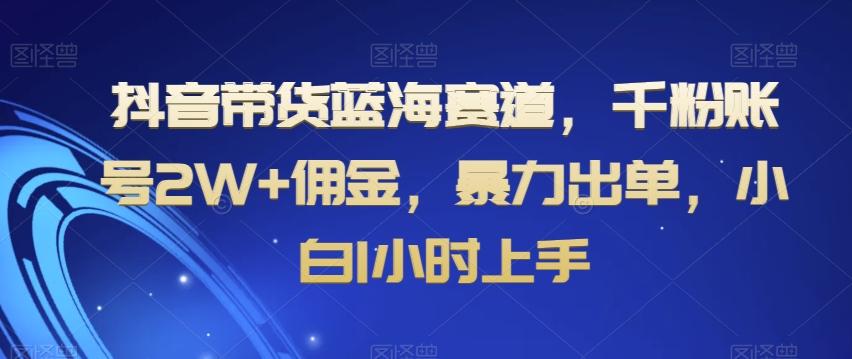抖音带货蓝海赛道，千粉账号2W+佣金，暴力出单，小白1小时上手【揭秘】-金腾科技