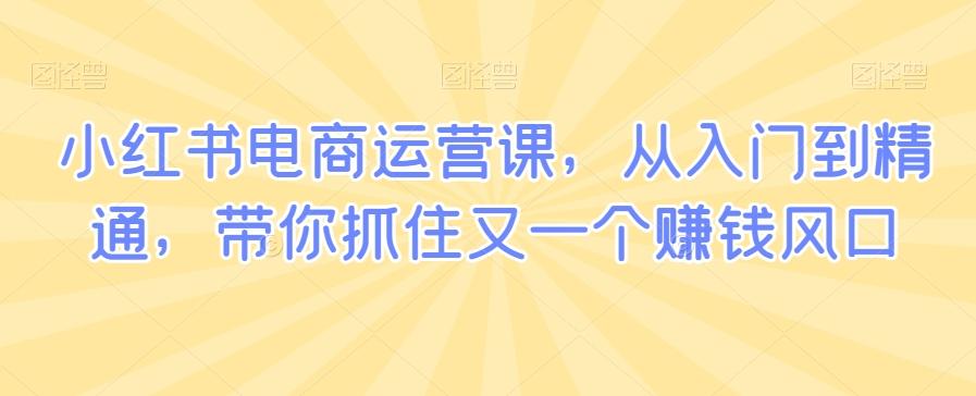小红书电商运营课，从入门到精通，带你抓住又一个赚钱风口-金腾科技