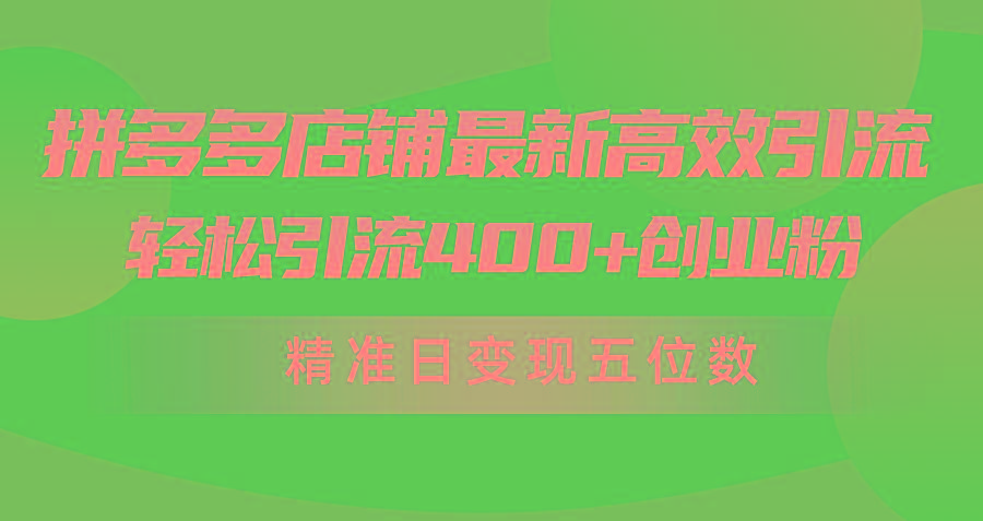 (10041期)拼多多店铺最新高效引流术，轻松引流400+创业粉，精准日变现五位数！-金腾科技