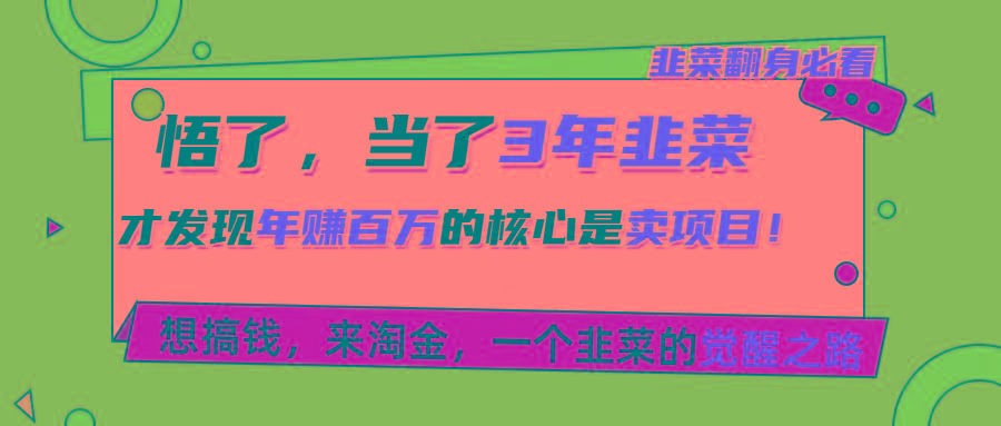 悟了，当了3年韭菜，才发现网赚圈年赚100万的核心是卖项目，含泪分享！-金腾科技