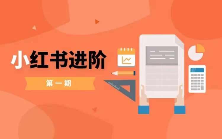 小红书进阶篇，零基础小白实战课，普通人变现的课程-金腾科技