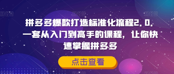 拼多多爆款打造标准化流程2.0，一套从入门到高手的课程，让你快速掌握拼多多-金腾科技