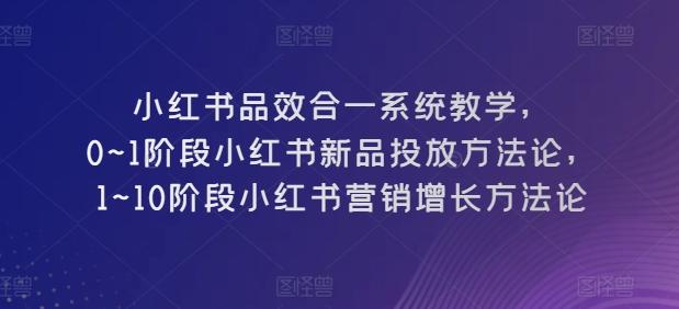 小红书品效合一系统教学，​0~1阶段小红书新品投放方法论，​1~10阶段小红书营销增长方法论-金腾科技