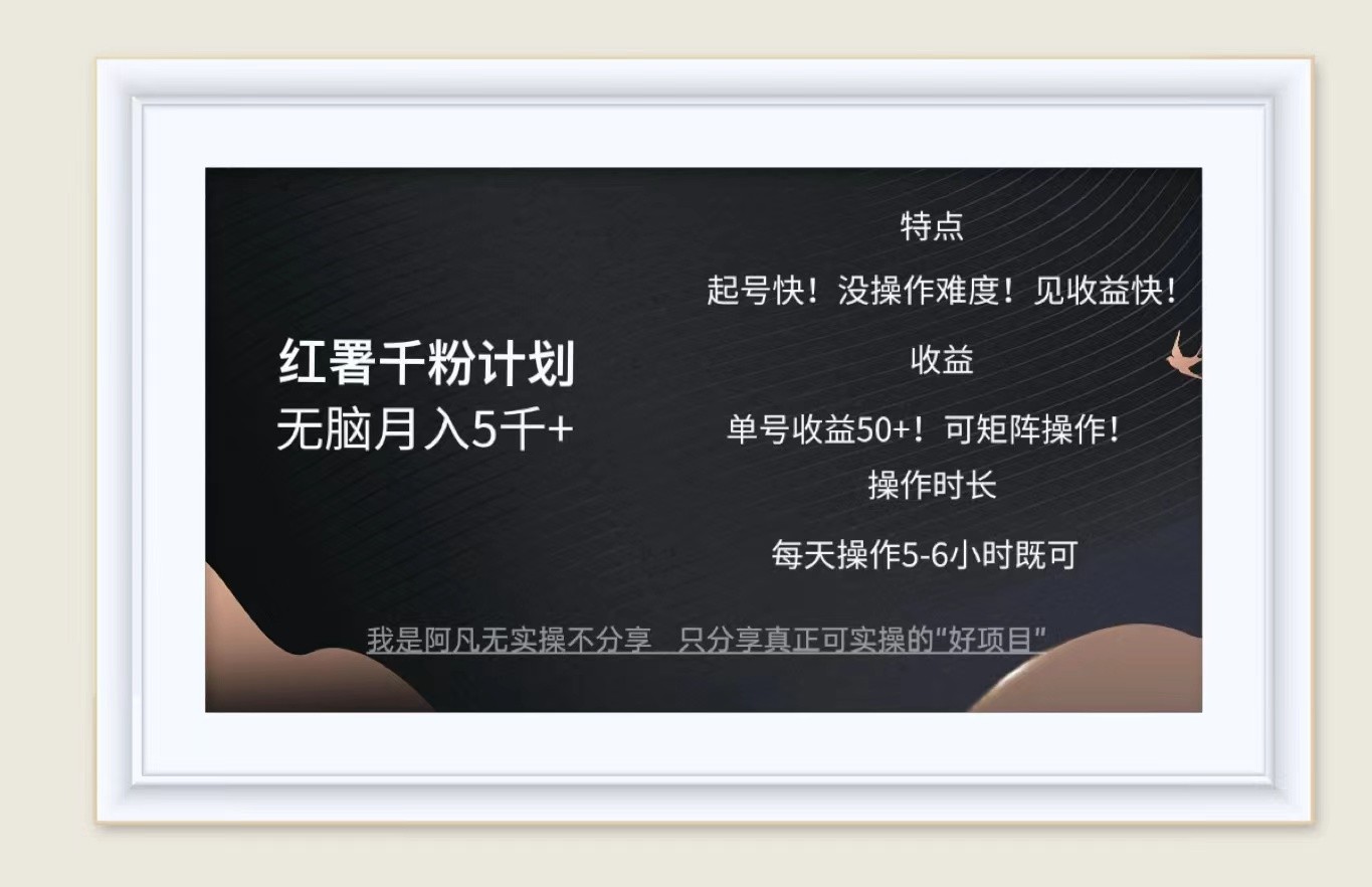红薯千粉计划无脑月入5千+！既做既赚！-金腾科技