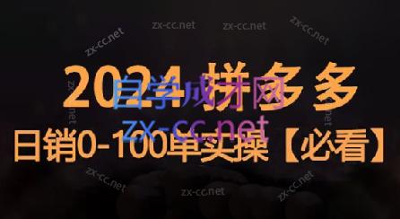 恒哥·2024拼多多日销0-100单实操-金腾科技