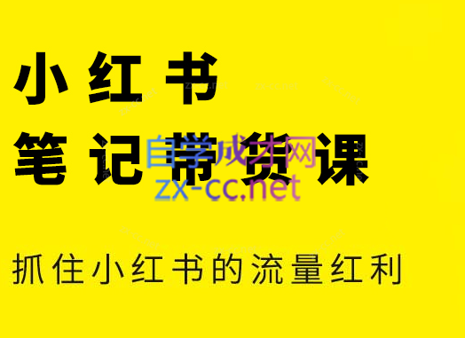 张宾·小红书笔记带货课(更新24年7月)-金腾科技
