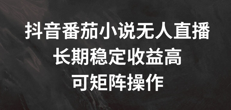 抖音番茄小说无人直播，长期稳定收益高，可矩阵操作【揭秘】-金腾科技