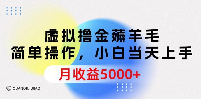 (9864期)虚拟撸金薅羊毛，简单操作，小白当天上手，月收益5000+-金腾科技