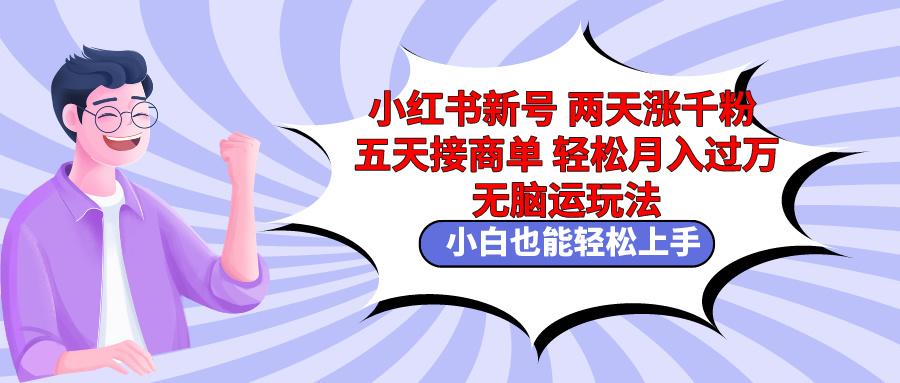 小红书新号两天涨千粉五天接商单轻松月入过万 无脑搬运玩法 小白也能轻…-金腾科技