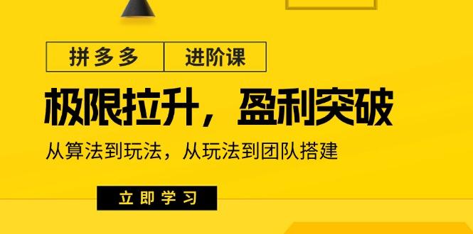 拼多多·进阶课：极限拉升/盈利突破：从算法到玩法 从玩法到团队搭建-18节-金腾科技