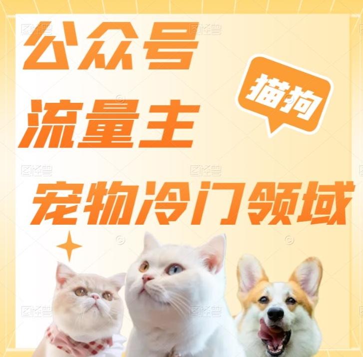 公众号流量主，萌宠冷门领域，单日收益2000+，简单暴力掘金，矩阵操作，无限放大收益！-金腾科技