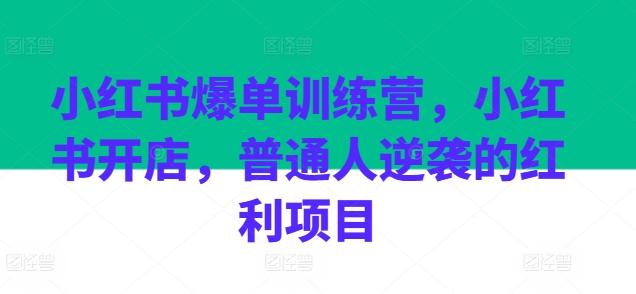 小红书爆单训练营，小红书开店，普通人逆袭的红利项目-金腾科技