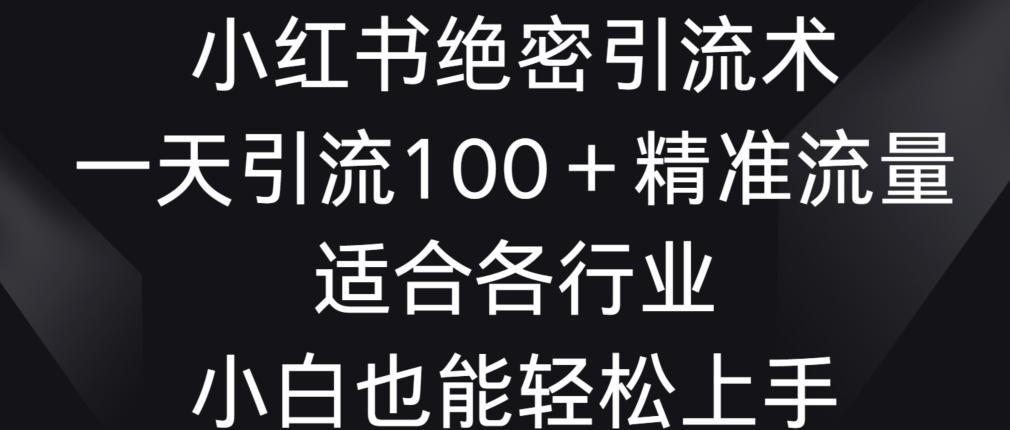 小红书绝密引流术，一天引流100+精准流量，适合各个行业，小白也能轻松上手【揭秘】-金腾科技