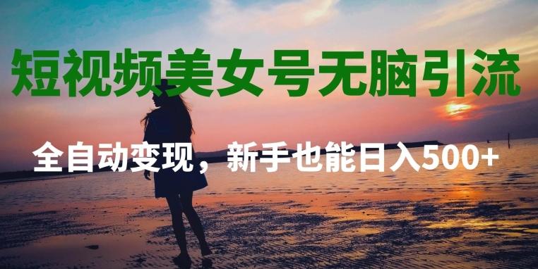 短视频美女号无脑引流，全自动变现，新手也能日入500+-金腾科技
