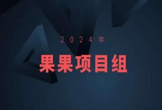 2024年果果项目组项目合集-果果最新项目-金腾科技