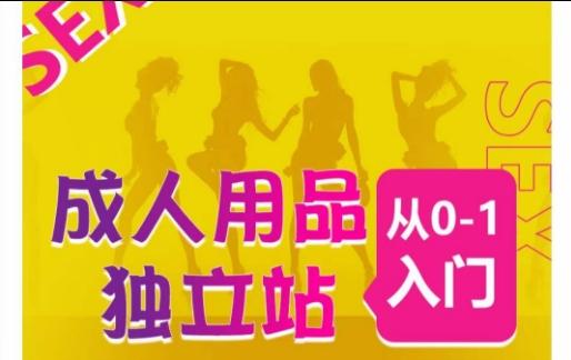 成人用品独立站从0-1入门，成品独立站运营全流程教学，七大好卖成品独立站推荐-金腾科技