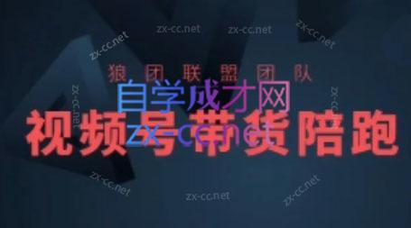 狼团联盟·2024视频号带货-金腾科技