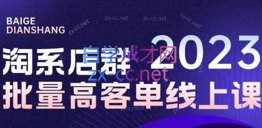 白戈电商·23年淘系批量高客单+24年全域电商矩阵-金腾科技