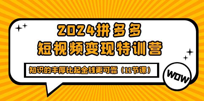 (9817期)2024拼多多短视频变现特训营，知识的丰厚比起金钱更可靠(11节课)-金腾科技