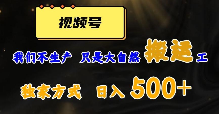 视频号轻松搬运日赚500+，一个1分钟1条原创视频【揭秘】-金腾科技