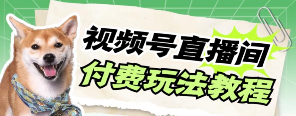 视频号美女付费无人直播，轻松日入500+【详细玩法教程】-金腾科技