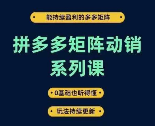 拼多多矩阵动销系列课，能持续盈利的多多矩阵，0基础也听得懂，玩法持续更新-金腾科技