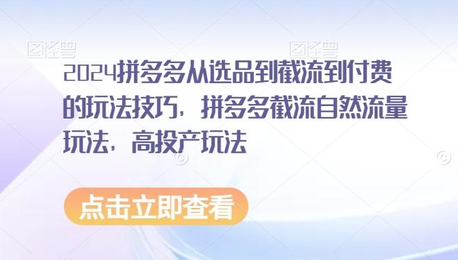 2024拼多多从选品到截流到付费的玩法技巧，拼多多截流自然流量玩法，高投产玩法-金腾科技