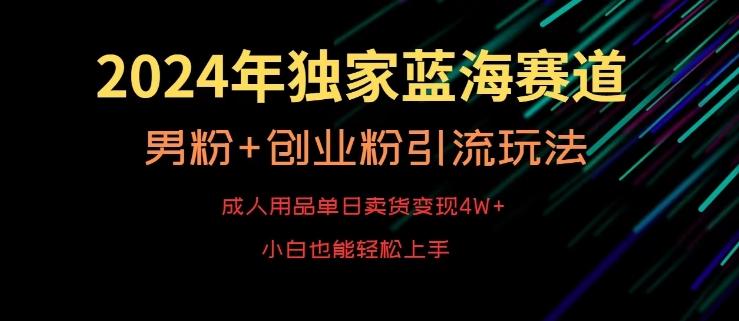 2024年独家蓝海赛道，成人用品单日卖货变现4W+，男粉+创业粉引流玩法，不愁搞不到流量【揭秘】-金腾科技