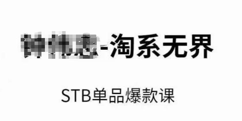 淘系无界STB单品爆款课(2024)，付费带动免费的核心逻辑，万相台无界关键词推广/精准人群的核心-金腾科技