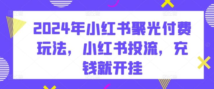 2024年小红书聚光付费玩法，小红书投流，充钱就开挂-金腾科技