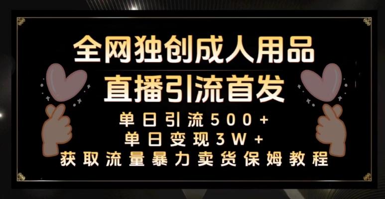 全网独创真人主播+无人直播单日引流500+，橙人用品暴力卖货单日变现3W+保姆似教学2.0【揭秘】-金腾科技