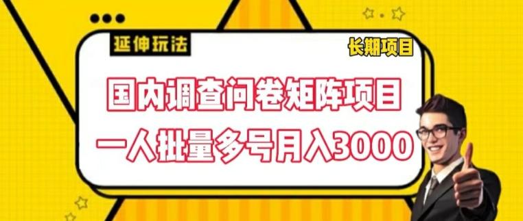 国内调查问卷矩阵项目，一人批量多号月入3000【揭秘】-金腾科技