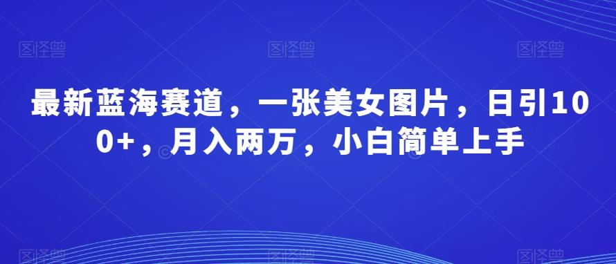 最新蓝海赛道，一张美女图片，日引100+，月入两万，小白简单上手-金腾科技