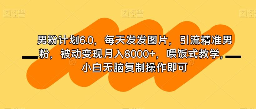 男粉计划6.0，每天发发图片，引流精准男粉，被动变现月入8000+，喂饭式教学，小白无脑复制操作即可-金腾科技