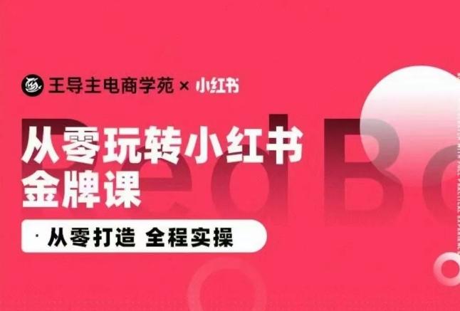 王导主·小红书电商运营实操课，​从零打造  全程实操-金腾科技