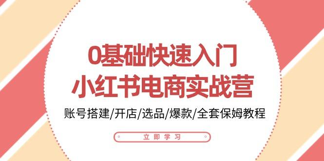 0基础快速入门-小红书电商实战营：账号搭建/开店/选品/爆款/全套保姆教程-金腾科技