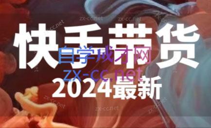 快手带货(2024最新)-金腾科技