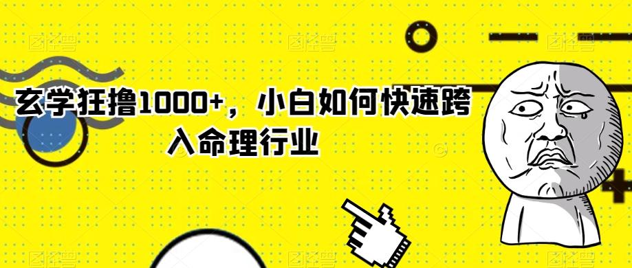 玄学狂撸1000+，小白如何快速跨入命理行业-金腾科技