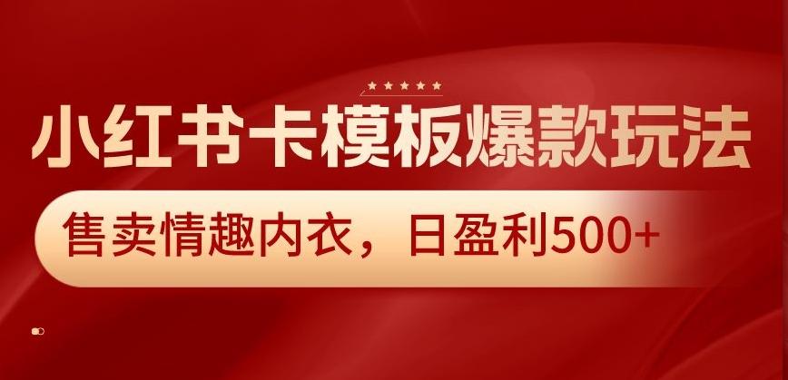 小红书卡模板爆款玩法，售卖情趣内衣，日盈利500+【揭秘】-金腾科技