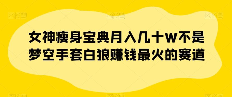 女神瘦身宝典月入几十W不是梦空手套白狼赚钱最火的赛道【揭秘】-金腾科技