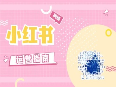 小红书运营指南，没有套路，全是经验-金腾科技